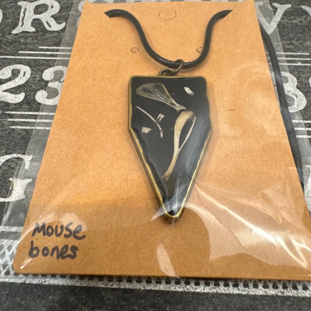 OOAK Handcrafted Taxidermy Oddities‎ Mouse Teeth Pelvis Hip Bones Necklace
